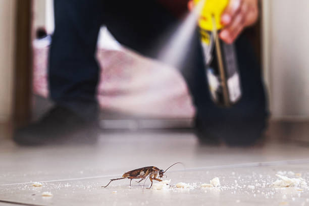 Best Commercial Pest Control Services  in Kearny, NJ